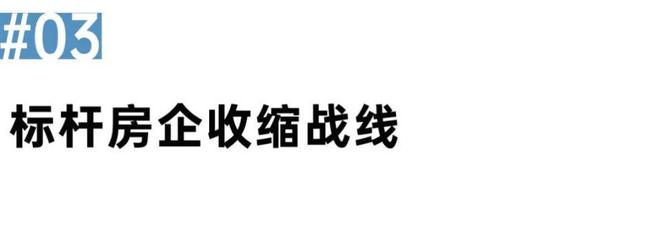 阵地丨一批房企正在退出房地产开发业务(图5)