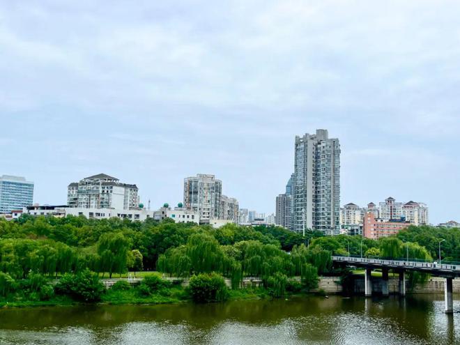 爆炸消息！房地产政策再度加码！绵阳楼市将迎来又一轮宽松期？(图2)