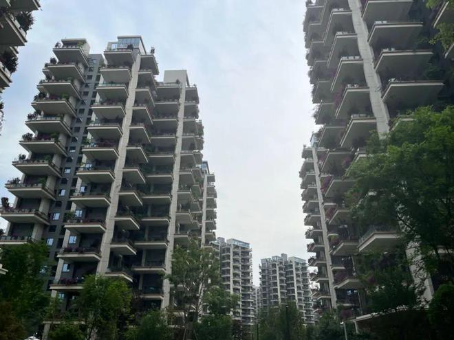 爆炸消息！房地产政策再度加码！绵阳楼市将迎来又一轮宽松期？(图3)