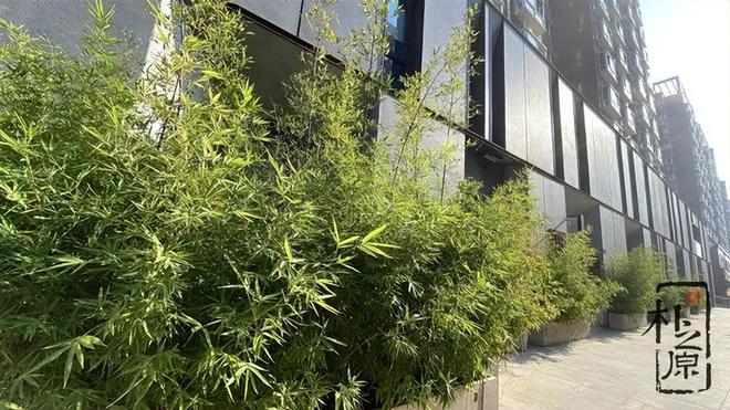 熊猫体育平台：冷峻与温柔：混凝土装饰板的现代建筑新篇章(图5)