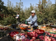 1-6月全国房地产开发投资同比增85%住宅投资增102%(图6)