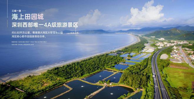 卓越前海未来城是毛胚还是精装修交楼楼盘交楼标准介绍装修交付(图5)