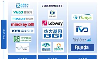 前瞻产业研究院(图12)