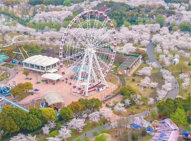 ◈中建山水雅境宝山中建山水雅境售楼处发布：豪宅热卖中(图14)
