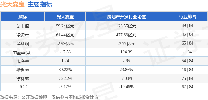 光大嘉宝(600622)2月28日主力资金净买入906489万元(图3)