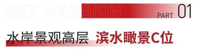 宝山天铂(上海宝山天铂)首页网站-价格-户型-容积率-小区环境(图2)
