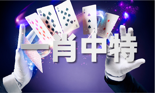八码做万能四码方法