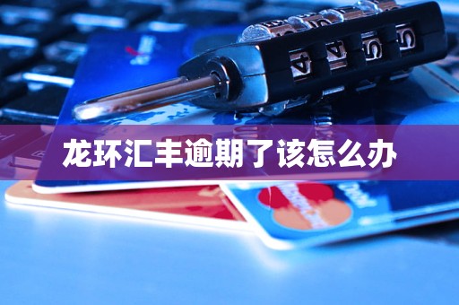 龙环汇丰逾期了该怎么办