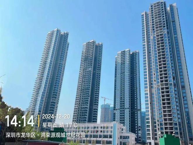 龙华鸿荣源观城项目概况项目优势和潜在风险市场反馈未来展望(图3)