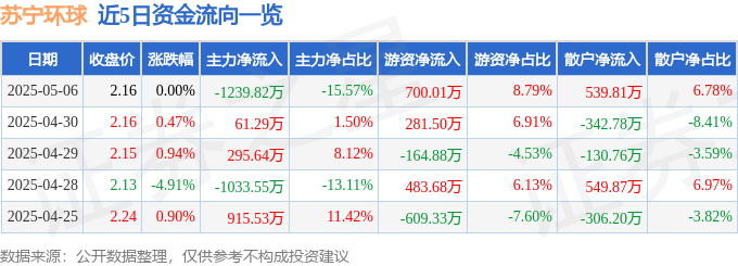 苏宁环球（000718）5月6日主力资金净卖出123982万元