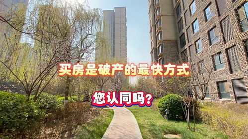 房产怎么买的快房子怎么买最快(图1)