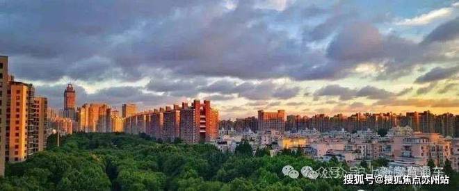 中鹰黑森林售楼处-首页网站-中鹰黑森林楼盘详情-上海房天下(图2)