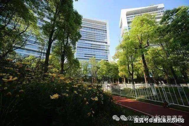 中鹰黑森林售楼处-首页网站-中鹰黑森林楼盘详情-上海房天下(图6)