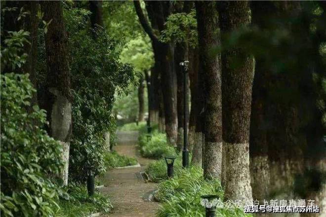 中鹰黑森林售楼处-首页网站-中鹰黑森林楼盘详情-上海房天下(图7)