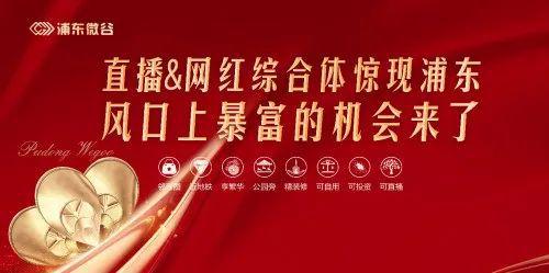 浦东微谷售楼处欢迎您丨上海浦东微谷_网站丨(图7)