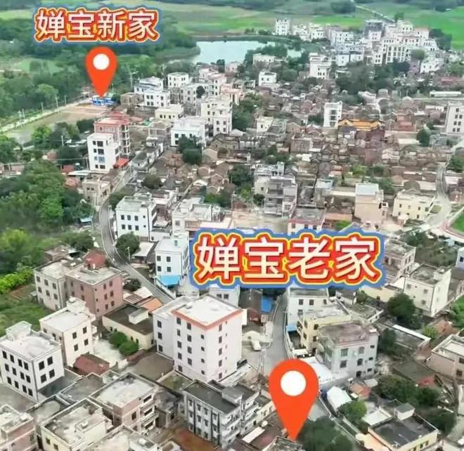 全红婵别墅正式开建豪华效果图出炉后恶心的一幕出现了(图5)