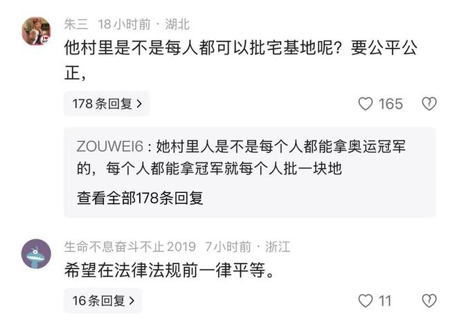 全红婵别墅正式开建豪华效果图出炉后恶心的一幕出现了(图11)