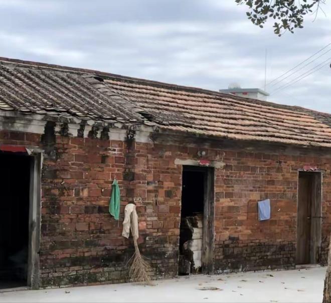 全红婵别墅正式开建豪华效果图出炉后恶心的一幕出现了(图15)