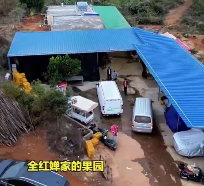全红婵别墅正式开建豪华效果图出炉后恶心的一幕出现了(图14)