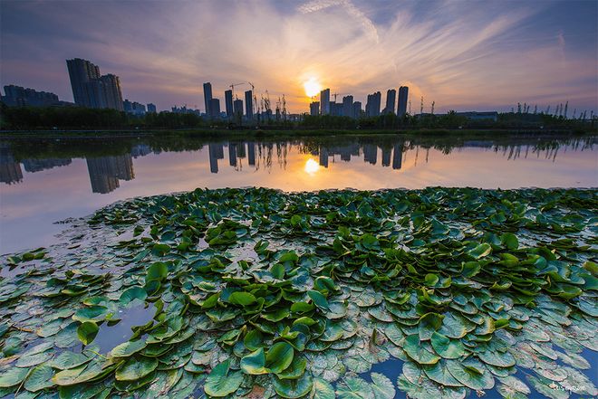 龙湖砚熙台→环境→价值分析→交房时间→装修效果图(图4)