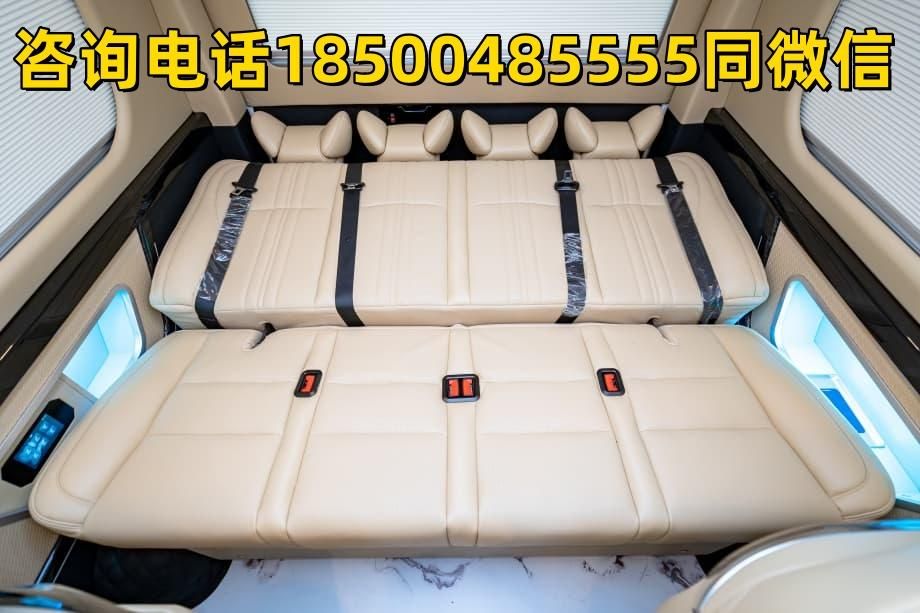 河南丰田海狮10座凯萨皇冠版新车多少钱(图5)