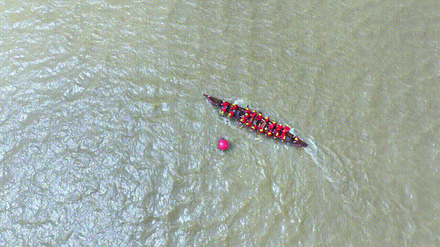 珠海这场海上龙舟赛来了!观看攻略→(图2)