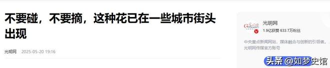 200多人发烧住院后续：提拉米苏里放“夹竹桃”商家已被立案(图20)