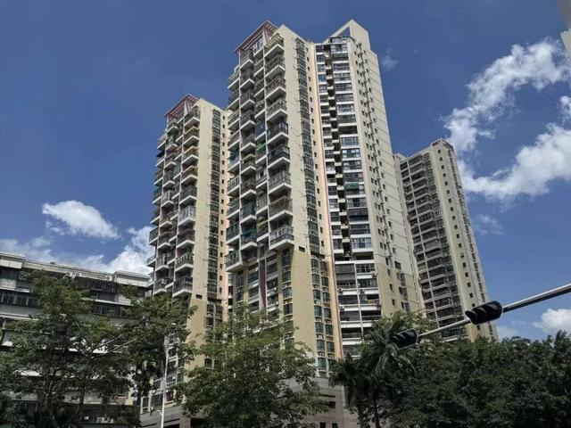 深圳一小区被曝有隐藏豪华建筑防火门后是“宫殿”朱红大门(图3)