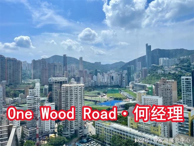 香港ONEWOODROAD发展商是哪家建筑品质如何什么时候交楼(图3)