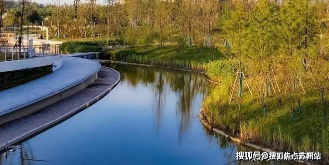 浦发上品-2025浦发上品欢迎您-首页网站-楼盘详情价格户型(图28)