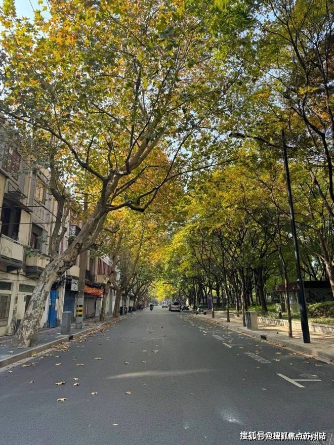 熊猫体育网站:万科高福里(售楼处)楼盘网站-万科高福里售楼处欢迎您-楼盘详情-户型配套-最新价格-最新资讯-位置(图5)