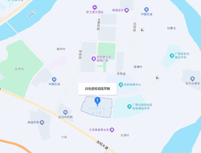 百色碧桂园一栋豪华装修的大别墅被拍卖只要390万(图2)