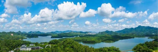 发布【金众麒麟府】送豪华装修即买即住！现楼单价4万起(图6)