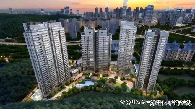 方直珑樾山开发商：深圳市龙廷房地产开发有限公司方直集团旗下(图3)