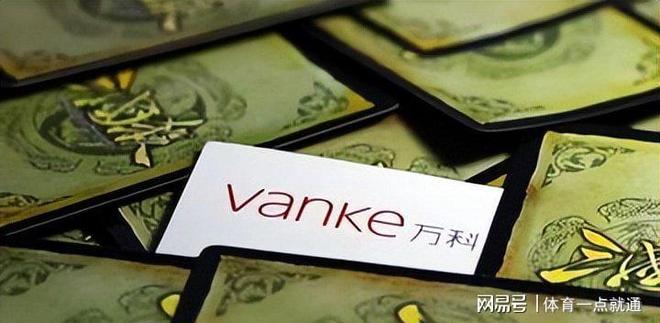 房地产巨头面临困境巨额亏损销售额锐减资金链紧张(图11)