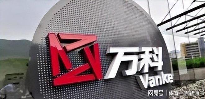 房地产巨头面临困境巨额亏损销售额锐减资金链紧张(图9)