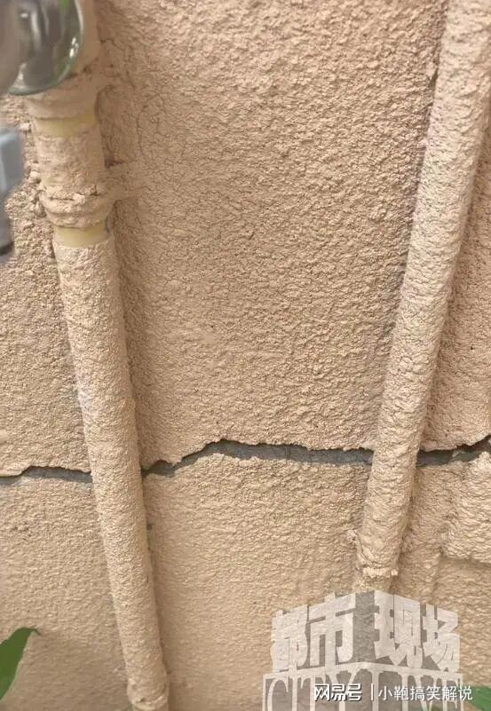 上海豪宅小区业主发现邻居私挖地下室担心建筑安全(图3)