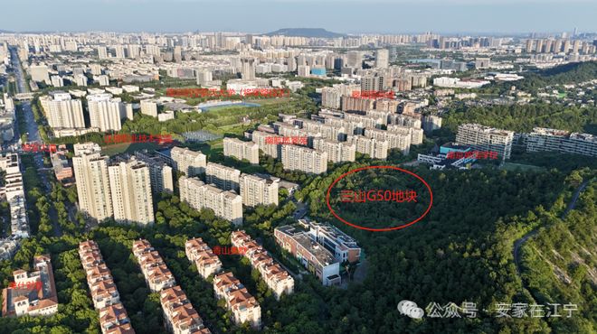 南京嘉宏G38网站售楼处-楼盘百科2026南京房天下诚邀莅临品鉴(图7)