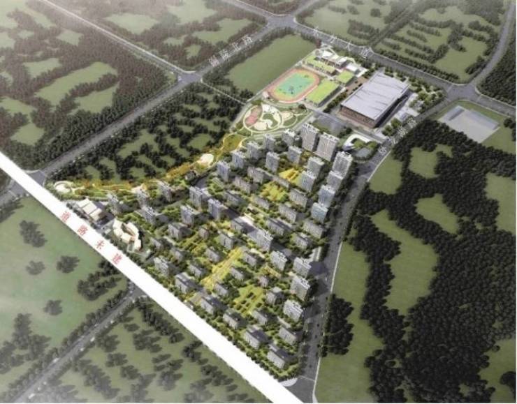 合肥新站区楼盘-合肥新盘必买楼盘发布：售楼处电线小时电线最新房价评测(图5)