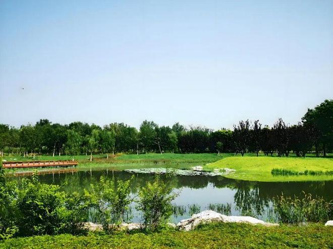 重磅豪宅官推⚡北京西红门壹品兴创元启售楼处发布：楼盘百科(图6)